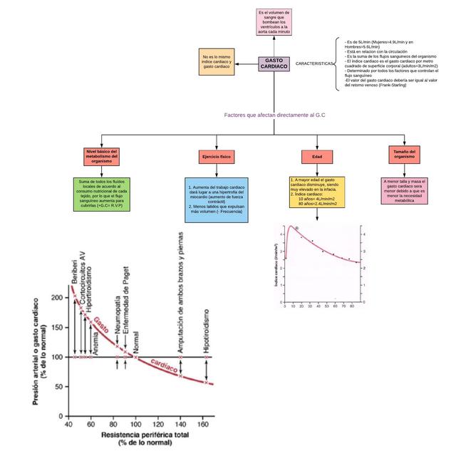 GASTO CARDIACO Página 1