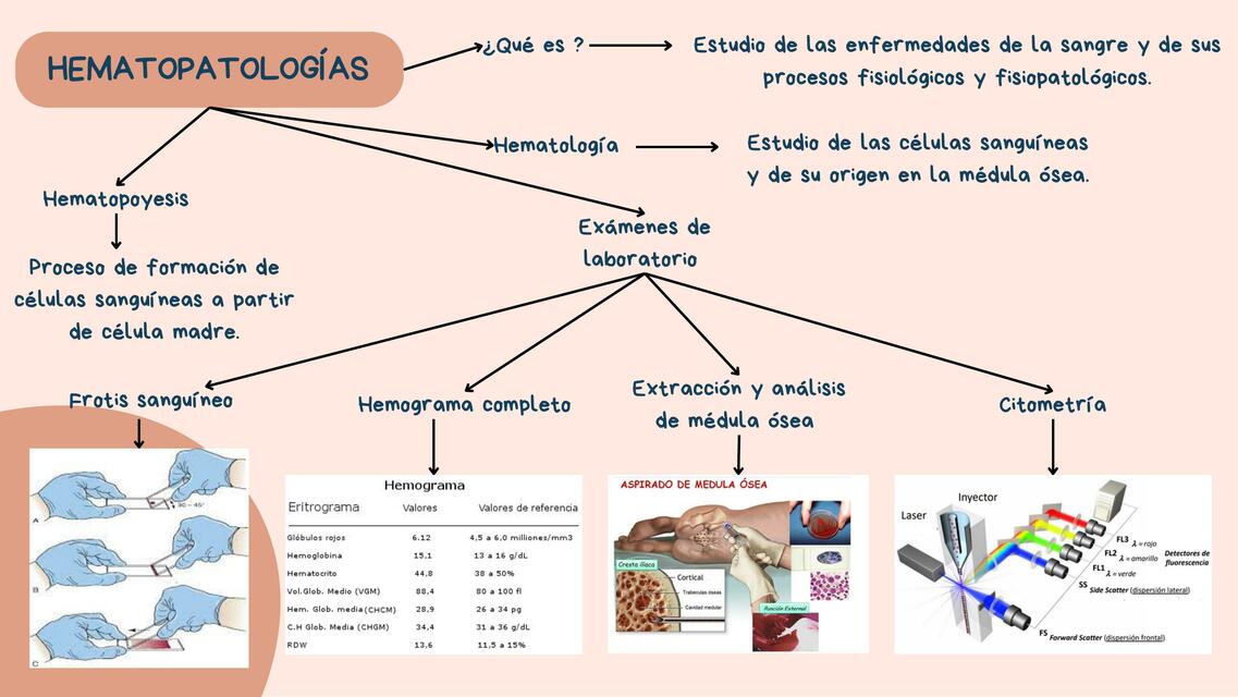 Hemopatologías