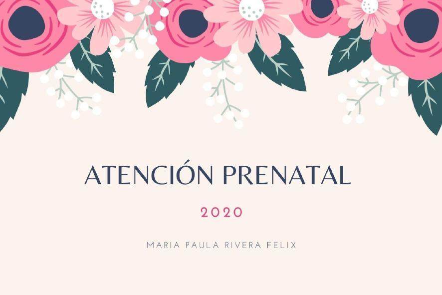 ATENCIÓN PRENATAL