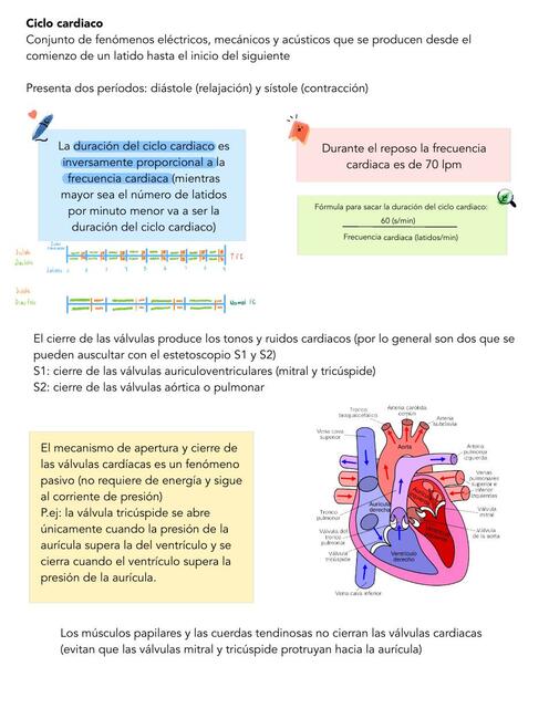 Ciclo Cardiaco