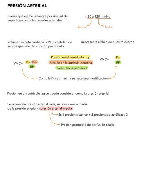 Presión arterial