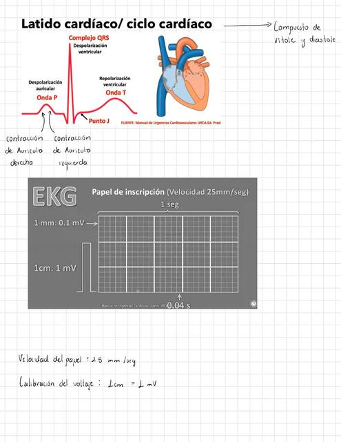 ECG