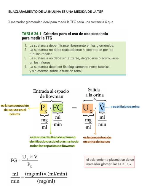 Depuración Plasmática Renal