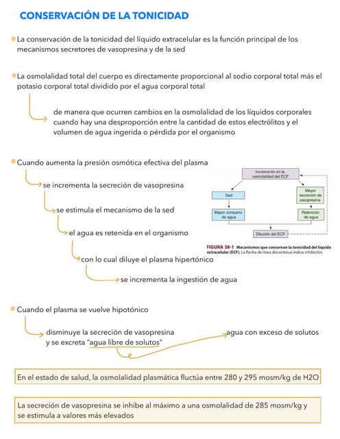 Control renal de electrolitos