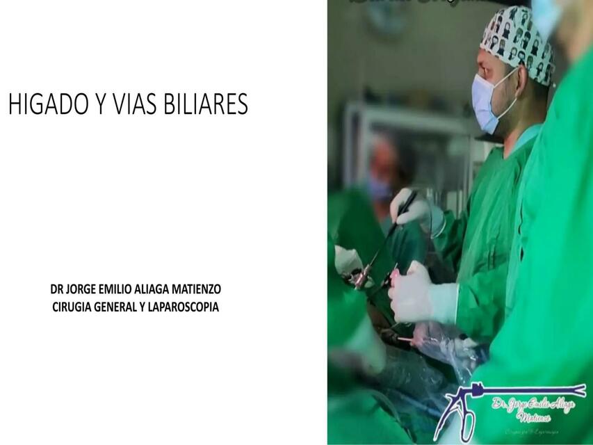 Hígado y vías biliares