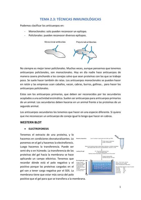 TÉCNICAS INMUNOLÓGICAS DE LABORATORIO