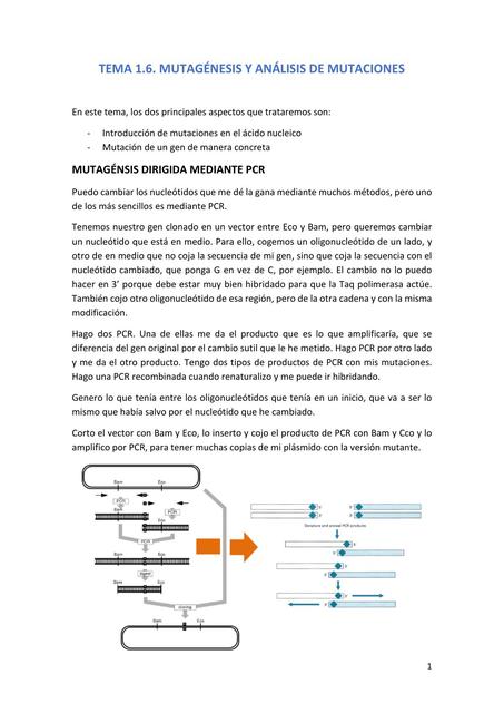 ANÁLISIS DE MUTACIONES