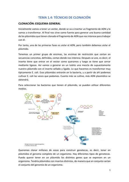 TÉCNICAS DE CLONACIÓN