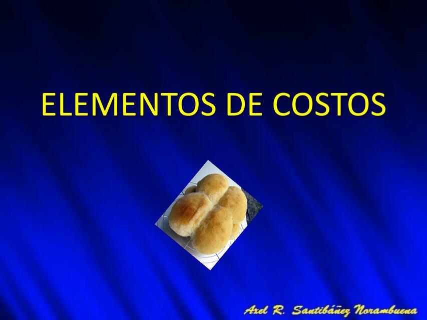 Elementos De Costos