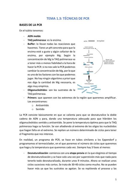 TÉCNICAS DE PCR