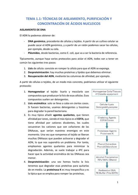 TÉCNICAS DE AISLAMIENTO, PURIFICACIÓN Y CONCENTRACIÓN DE ÁCIDOS NUCLEICOS