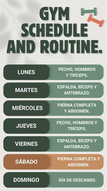 Horario y rutina de gym