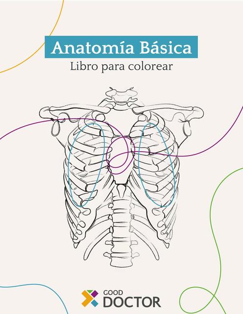 Anatomía para colorear