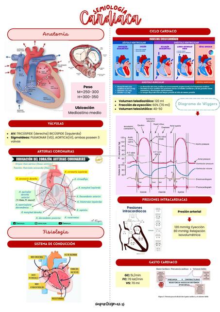 SEMIOLOGIA CARDIACA