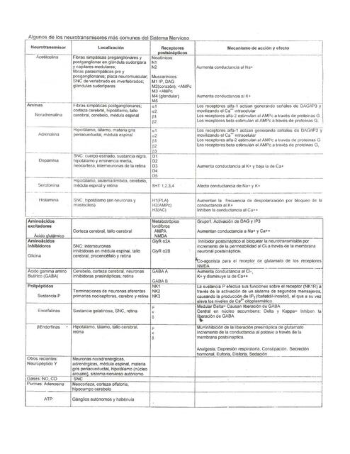 SN Cuadro Neurotransmisores