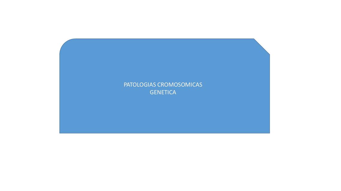 PATOLOGIAS CROMOSOMICAS - GENETICA 