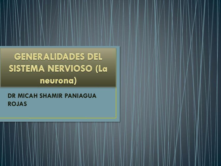 GENERALIDADES DEL SISTEMA NERVIOSO La neurona