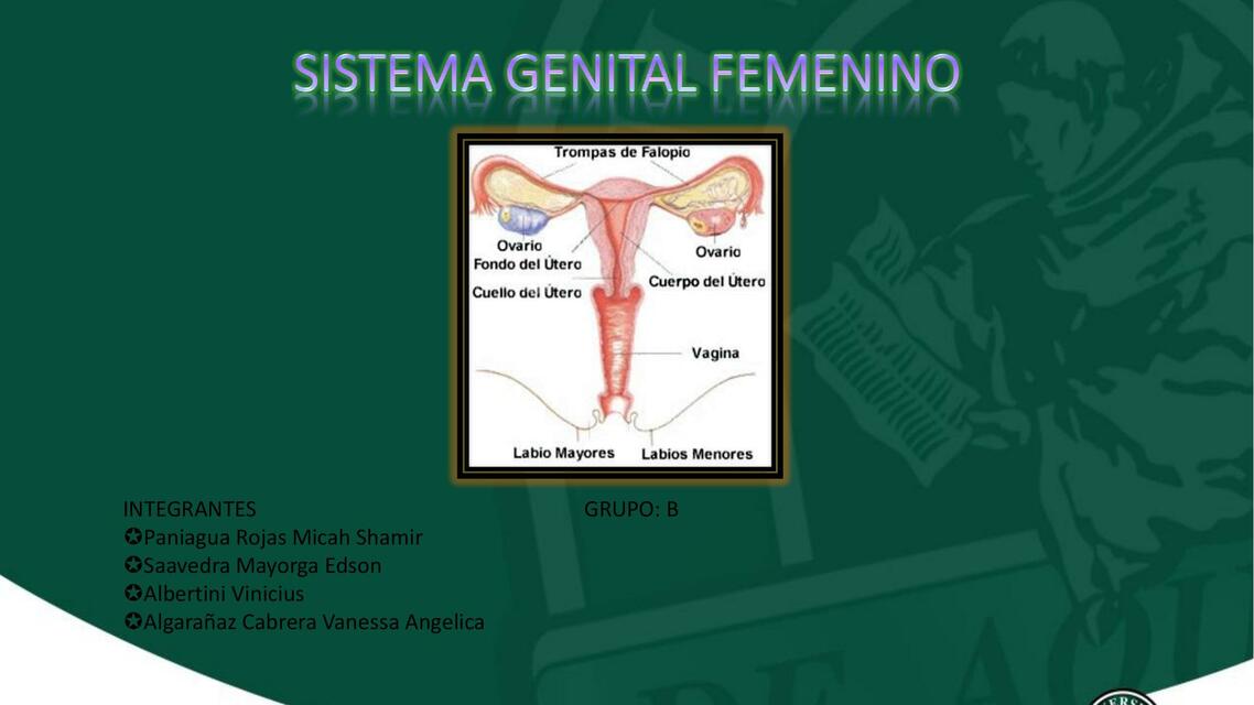 Sistema Genital femenino