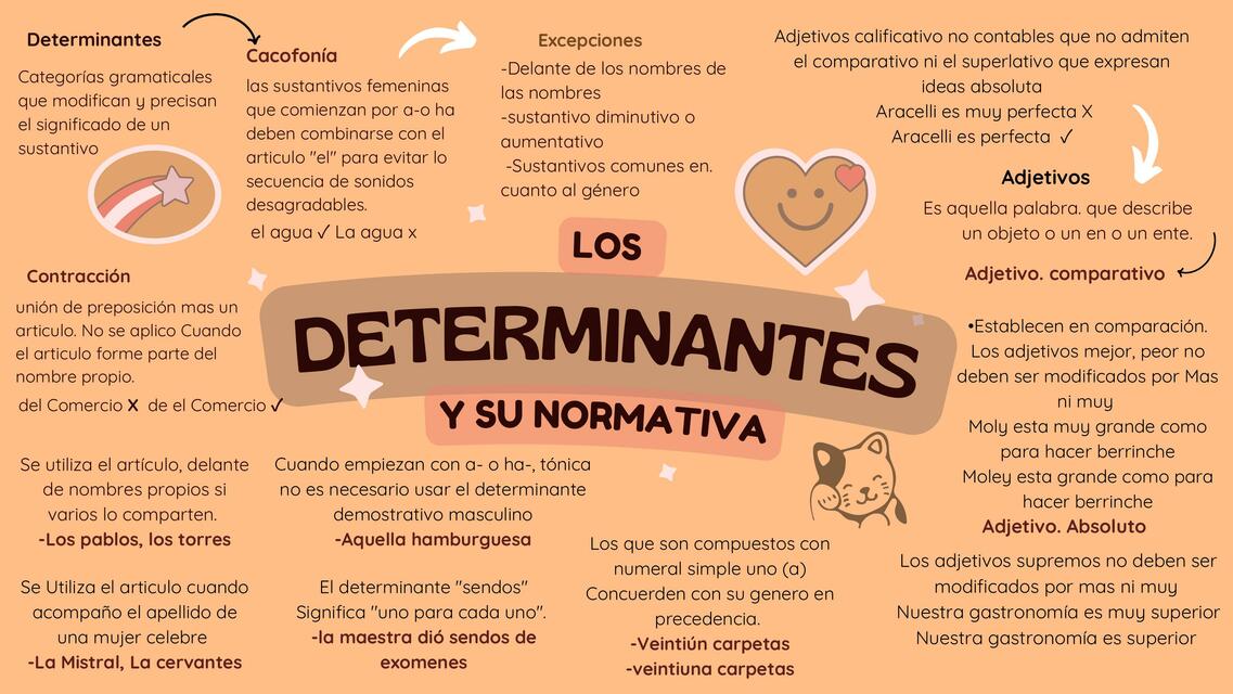 LOS DETERMINANTES Y SU NORMATIVA