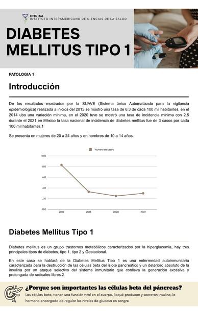 Diabetes Mellitus tipo 1