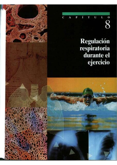 Regulación respiratoria durante el ejercicio 