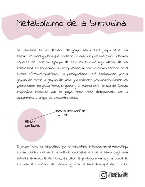 Metabolismo de la bilirrubina