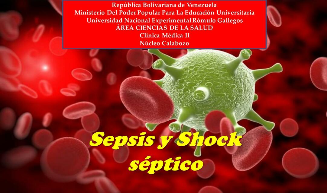 Shock septico