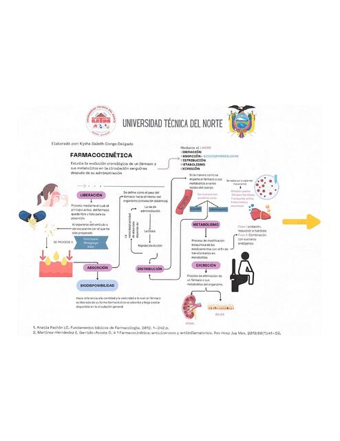 Mapa conceptual Farmacocinetica de Medicamentos