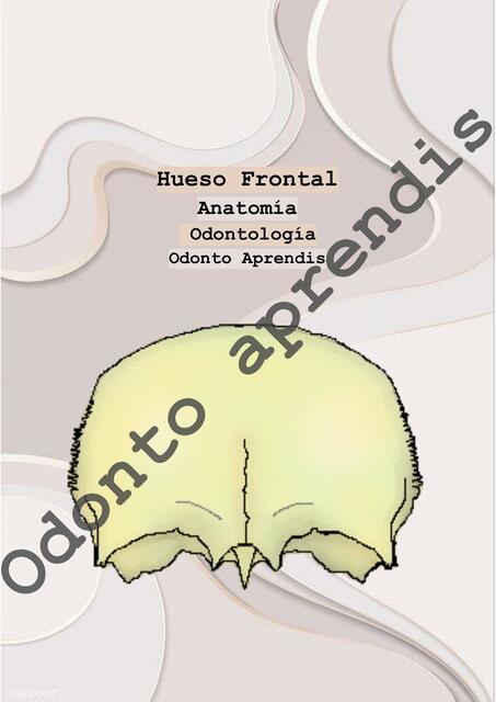 Hueso Frontal