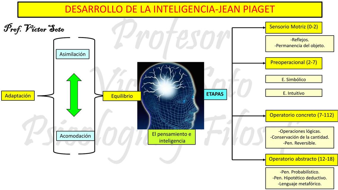 13Inteligencia II