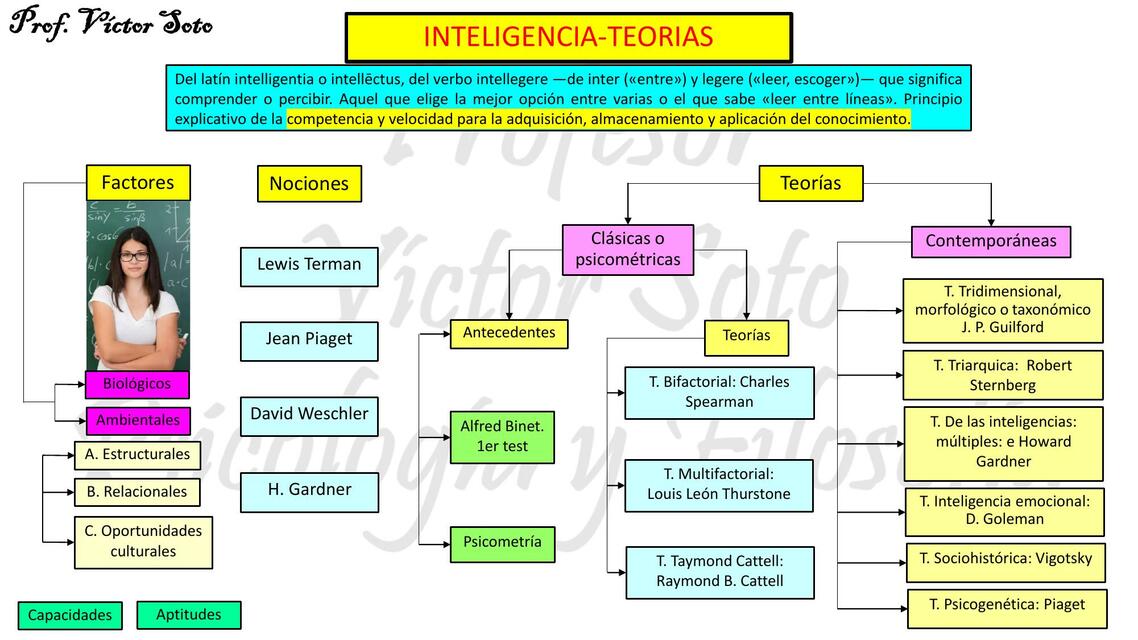 12nteligencia I