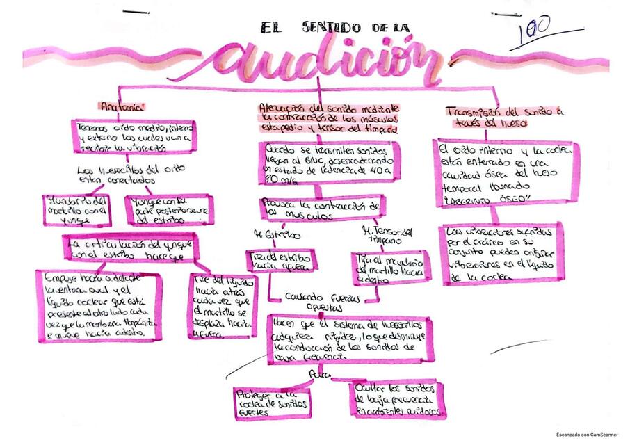 El sonido de la audición 