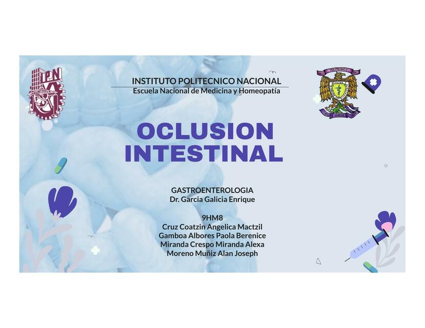 Oclusion intestinal