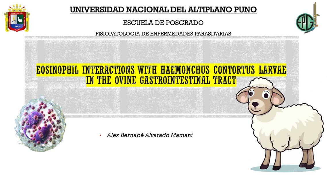 Interacciones de eosinófilos con larvas de Haemonchus contortus en el tracto