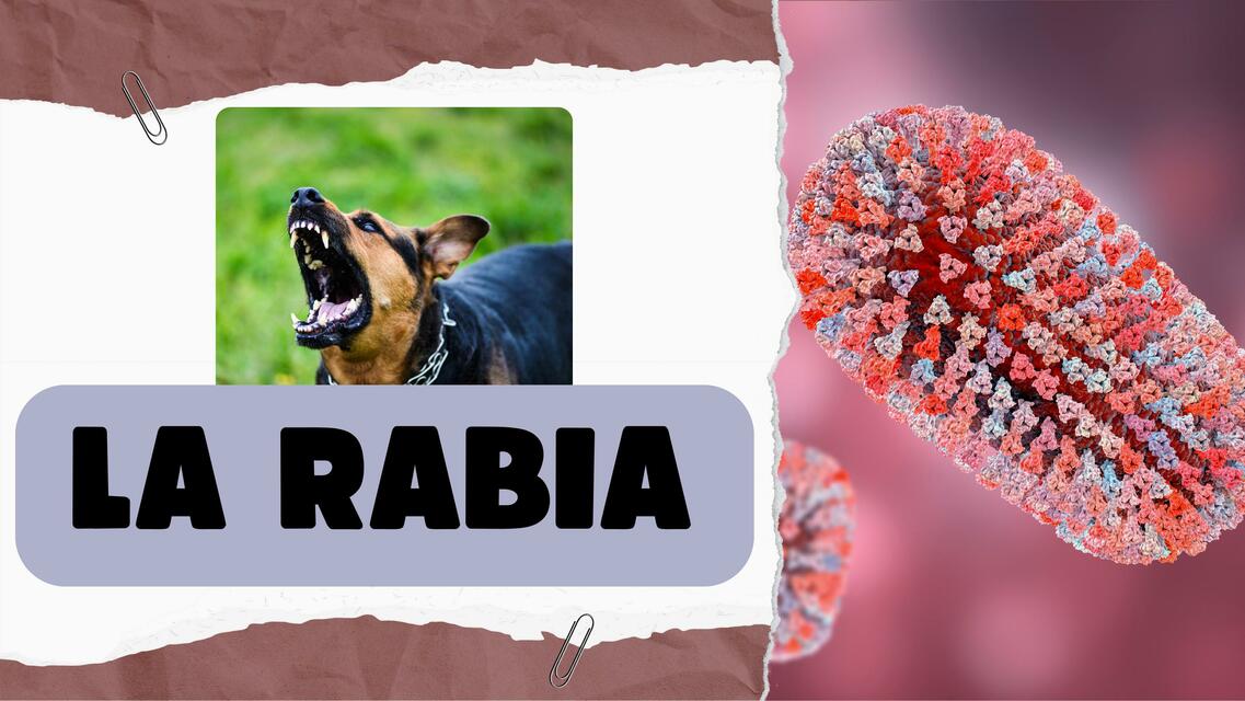 La rabia 