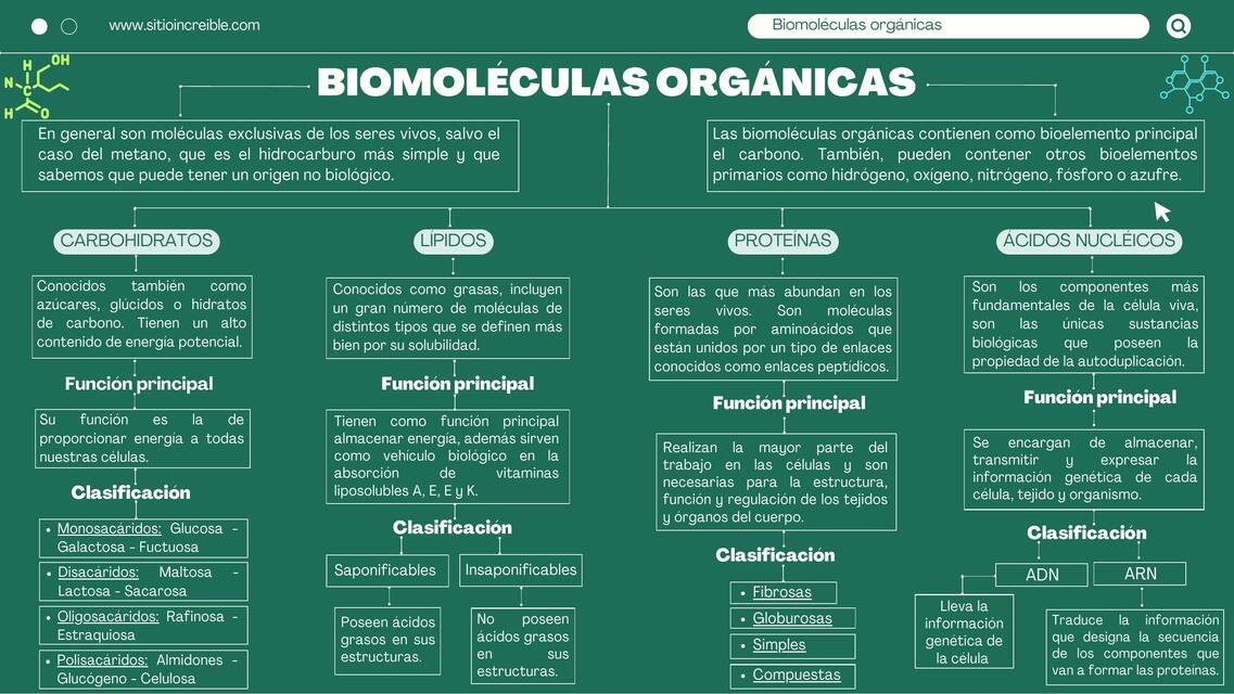 BIOMOLÉCULAS ORGÁNICAS E INORGÁNICAS