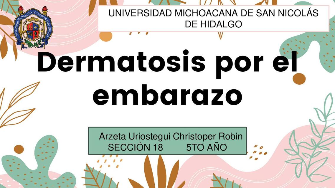 Dermatosis por embarazo