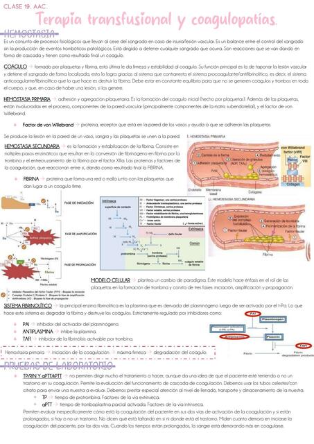 Terapia transfusional y coagulopatías.