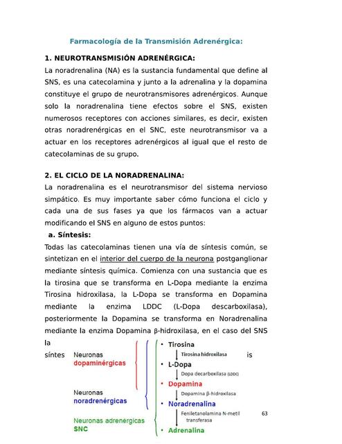 Farmacologia de la transmisión adrenergica