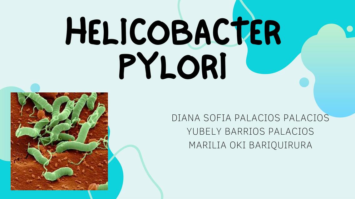 Helicobacter pylori