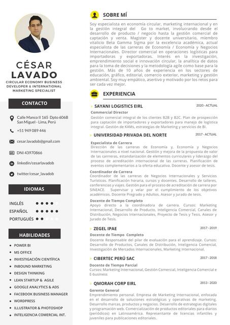 CV CESAR LAVADO