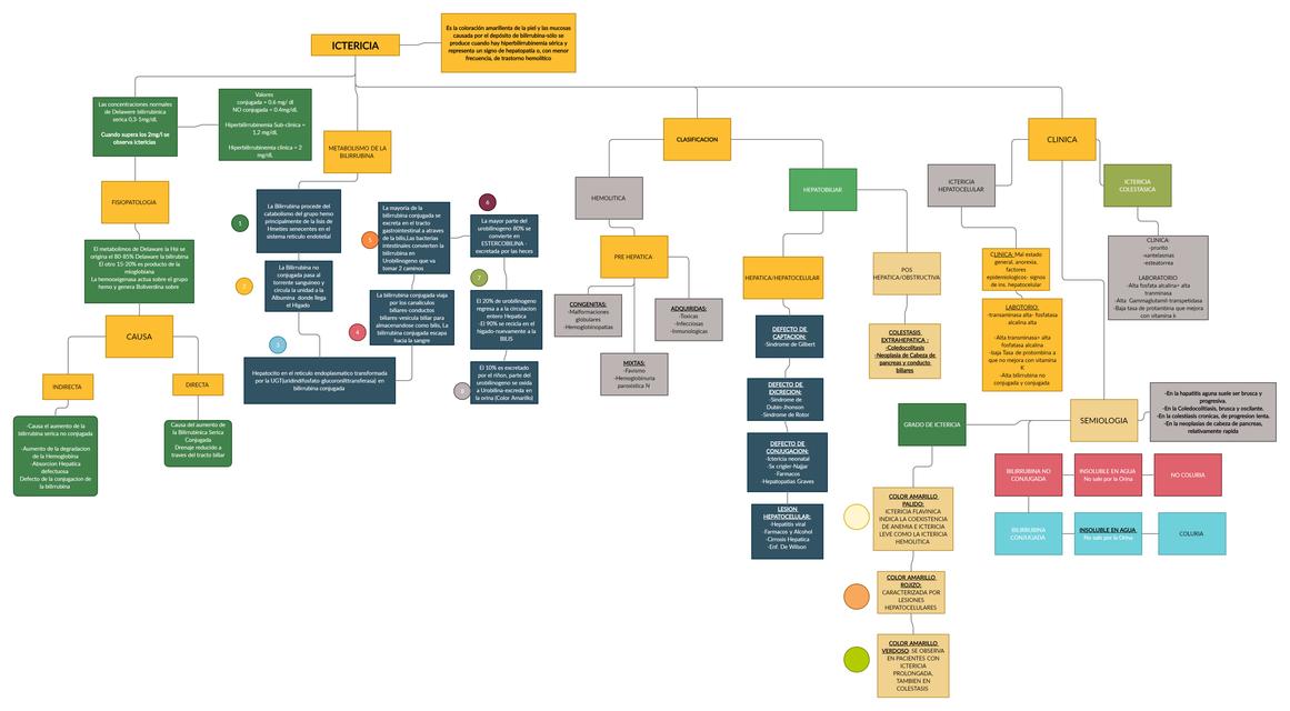 MAPA CONCEPTUAL DE ICTERICIA