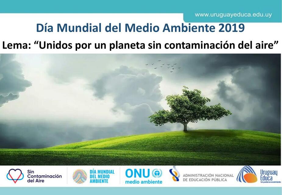 MEDIO AMBIENTE 19