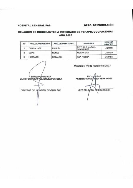 terapia ocupacional