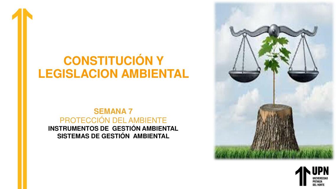 CLASE 7 CONSTITUCION Y LEGISLACIÓN AMBIENTAL A | Kelly | uDocz