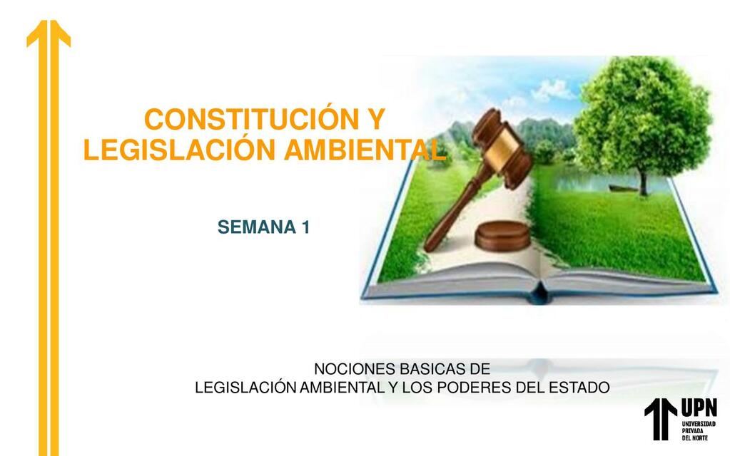CLASE 1 CONSTITUCION Y LEGISLACIÓN AMBIENTAL | Kelly | uDocz