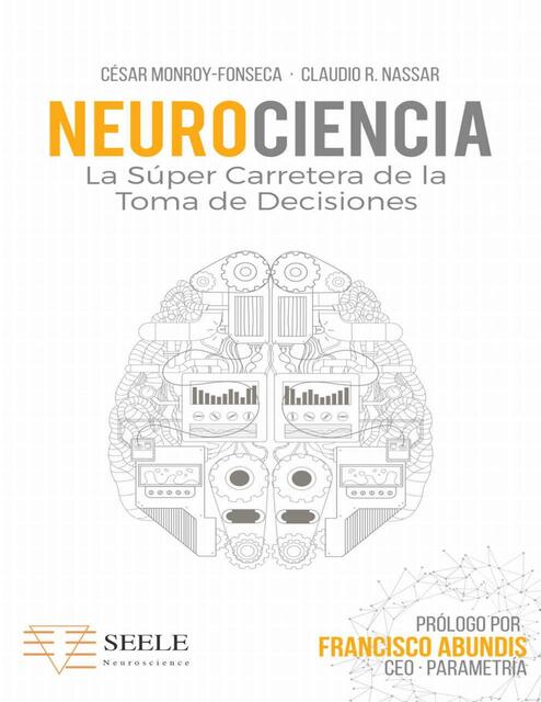 Neurociencia La Super Carretera de toma de decisio