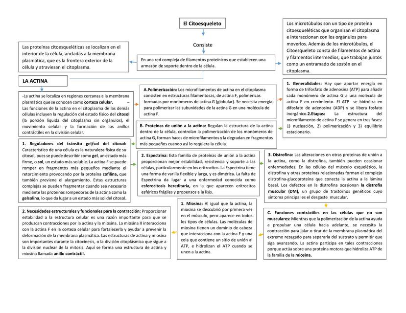 MAPA DE CITOESQUELETO