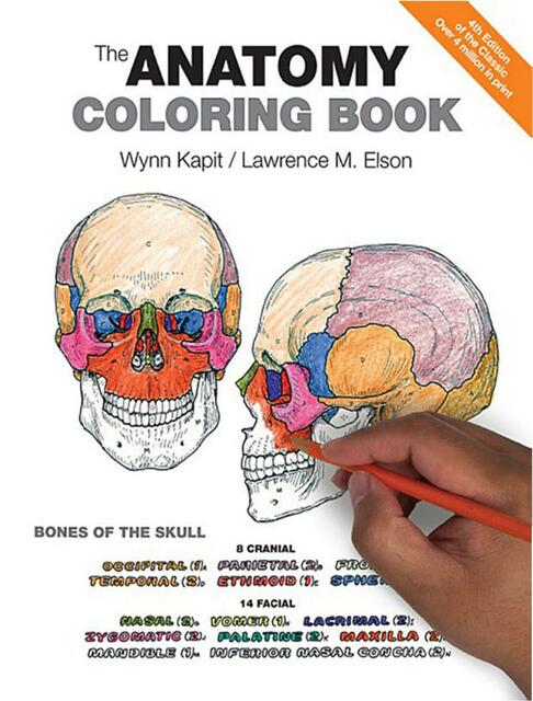 The Anatomy Coloring Book 4E