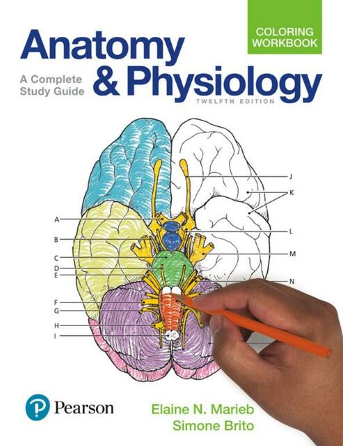 PEARSON Anatomy and Physiology Coloring